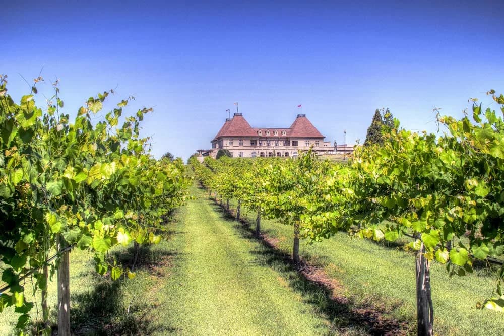 LuxShuttle private transfer to Chateau Elan Winery and Resort — vineyard estate near Lee Gilmer Memorial Airport