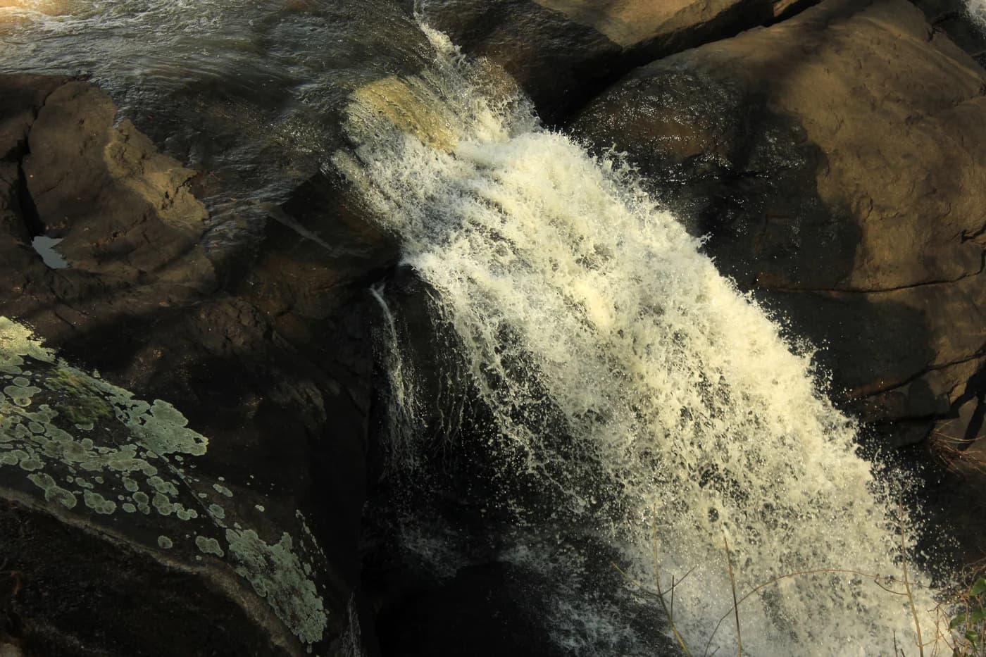 LuxShuttle private transfer to High Falls State Park — Georgia waterfall and nature excursion from HMP