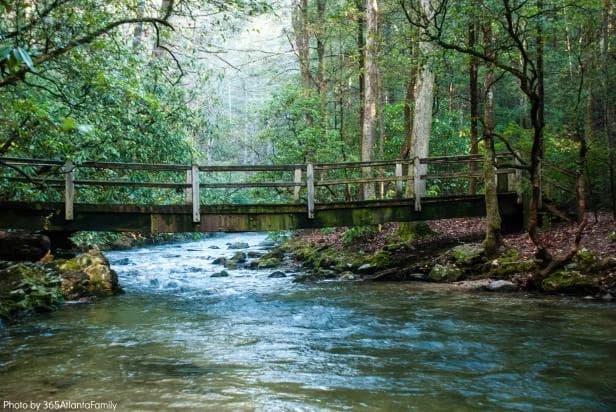 LuxShuttle private transfer to Smithgall Woods State Park near GVL Airport
