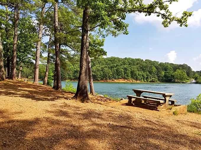 LuxShuttle private charter to Lake Allatoona — scenic shoreline and marina access near VPC