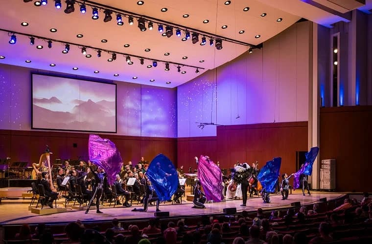 Students at the Symphony: Symphony Safari