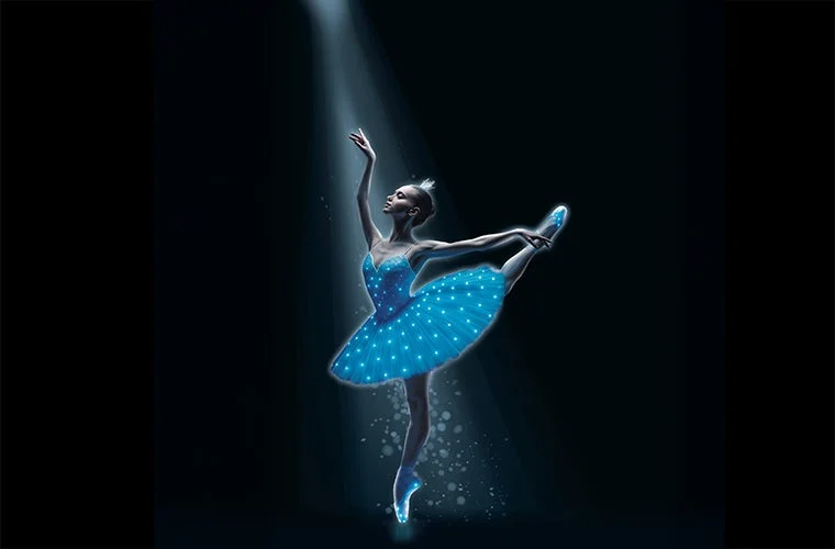 Swan Lake — Symphony of Lights