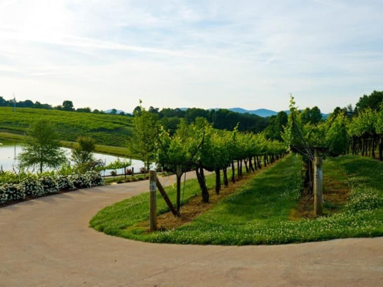 Frogtown Cellars in Dahlonega, Georgia