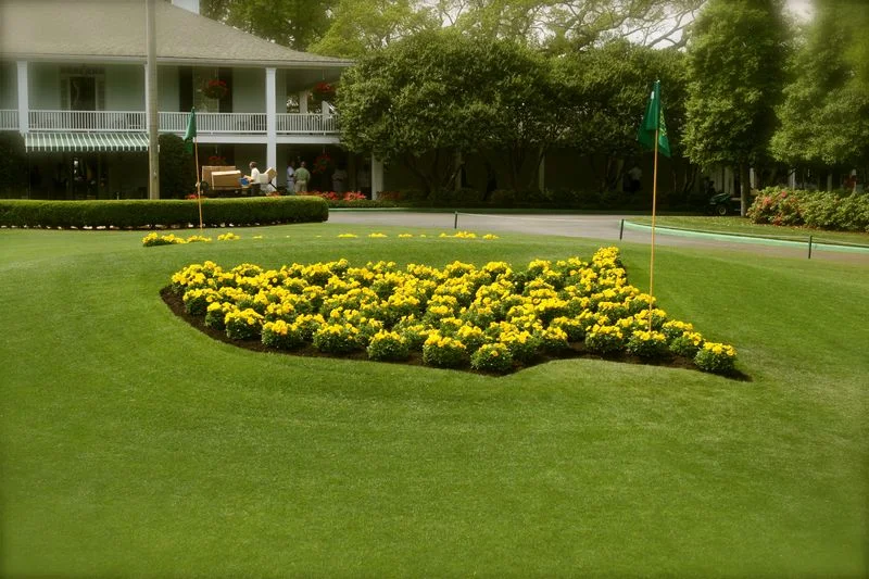 Augusta National Golf Club golf course
